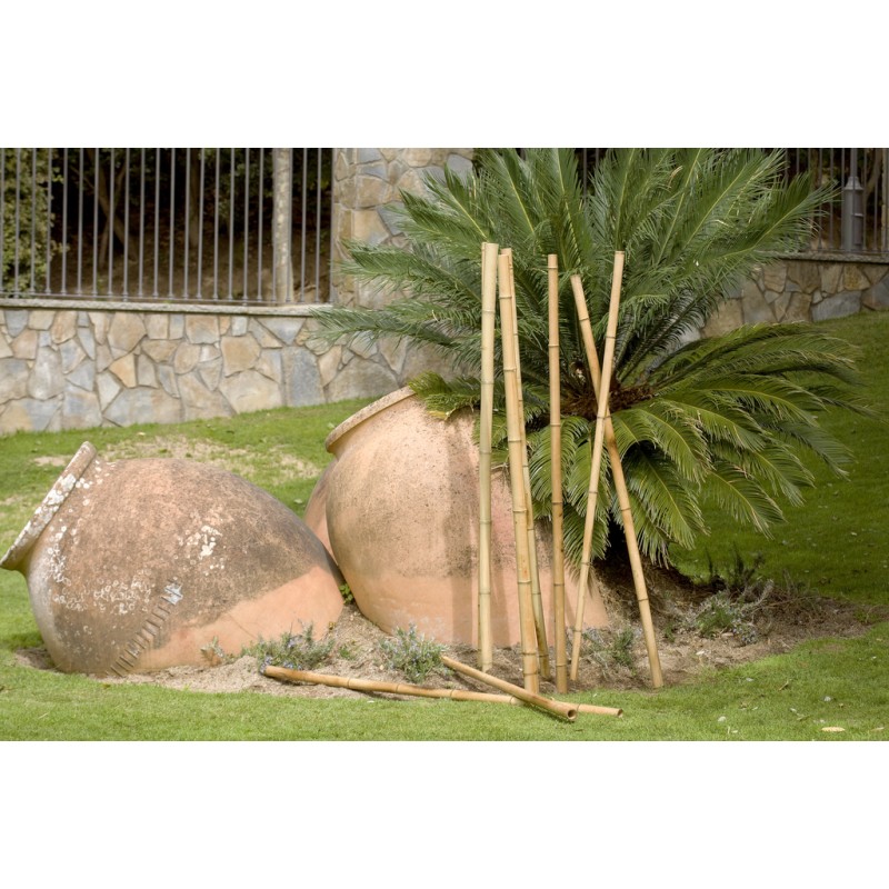 Tutor bambú decoración 1,80 m - ø 55-60 mm BAMBOO DECO Nortene
