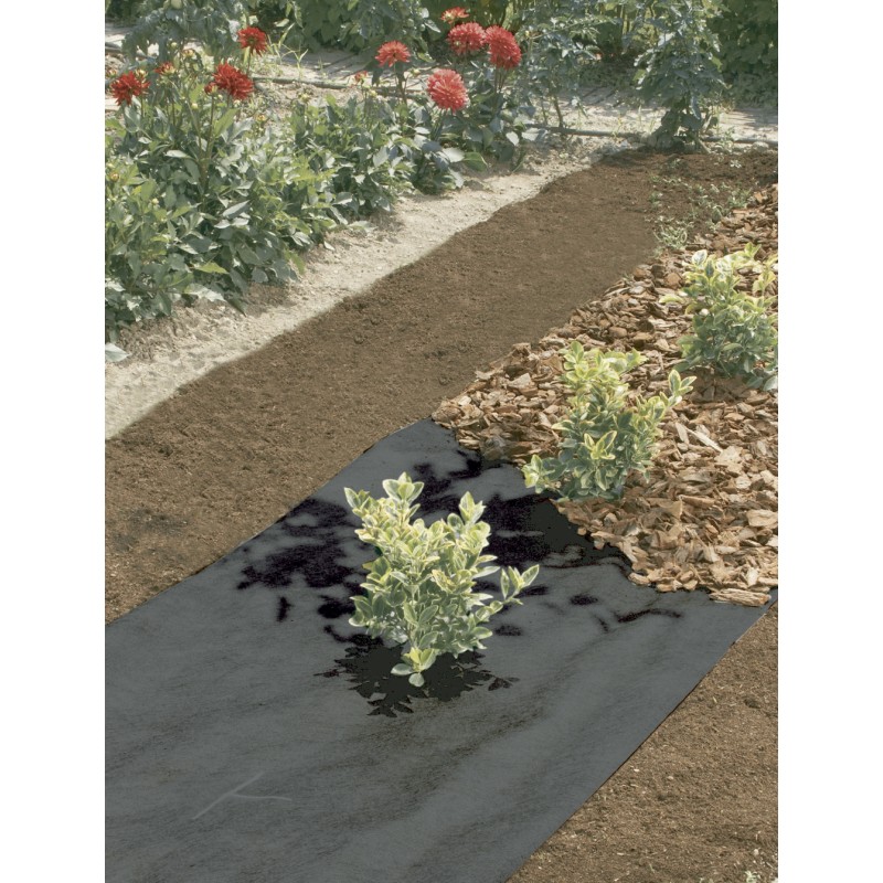 Acolchoamento tecido de poliéster TERRATEX 1 x 25 m cor preta 80 gm² Nortene