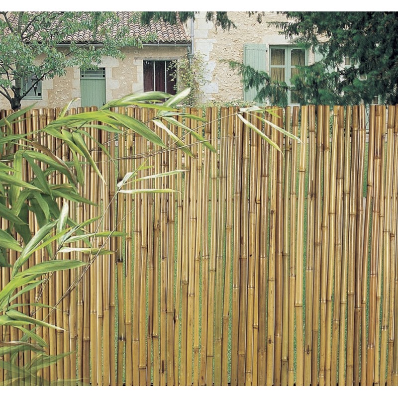 Rollo flexible en bambú barnizado BAMBOOFLEX 2 x 3 m Nortene
