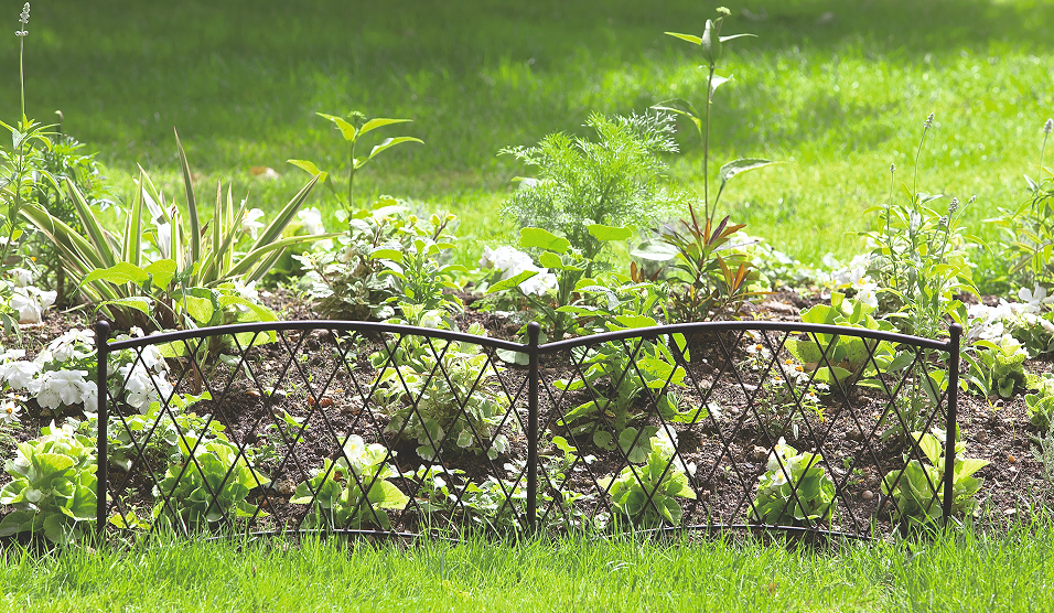 ¿QUÉ TOLDO O VELA DE SOMBREO ELEGIR PARA TU JARDÍN O TERRAZA? GUÍA PRÁCTICA NORTENE