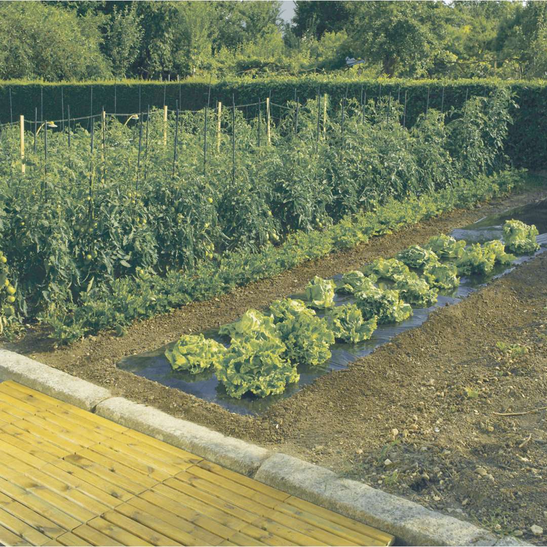 Acolchamiento para cultivo TERRAFILM Negro Nortene