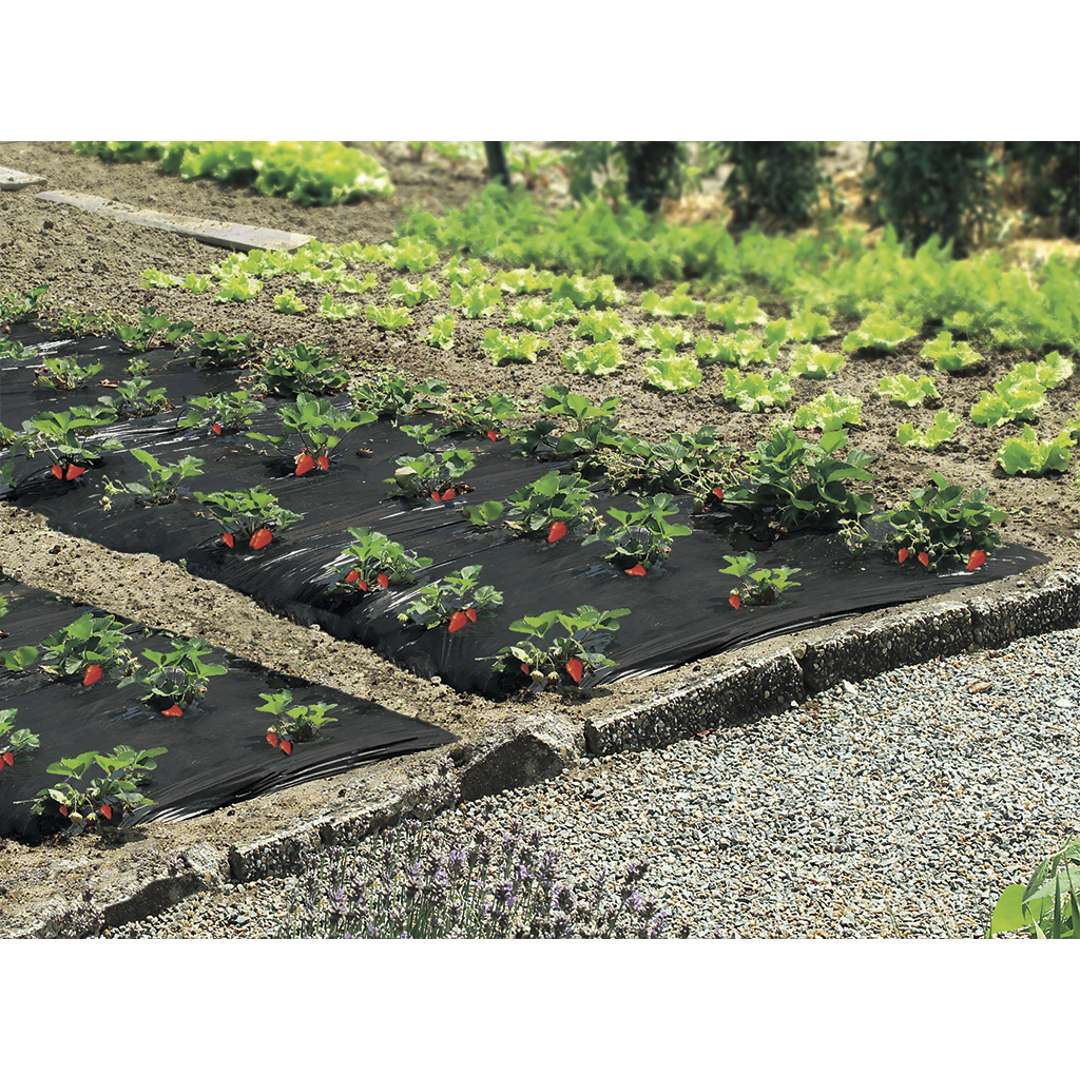 Malla antihierbas especial fresas FRESAFILM 1 x 14 cm Negro Nortene