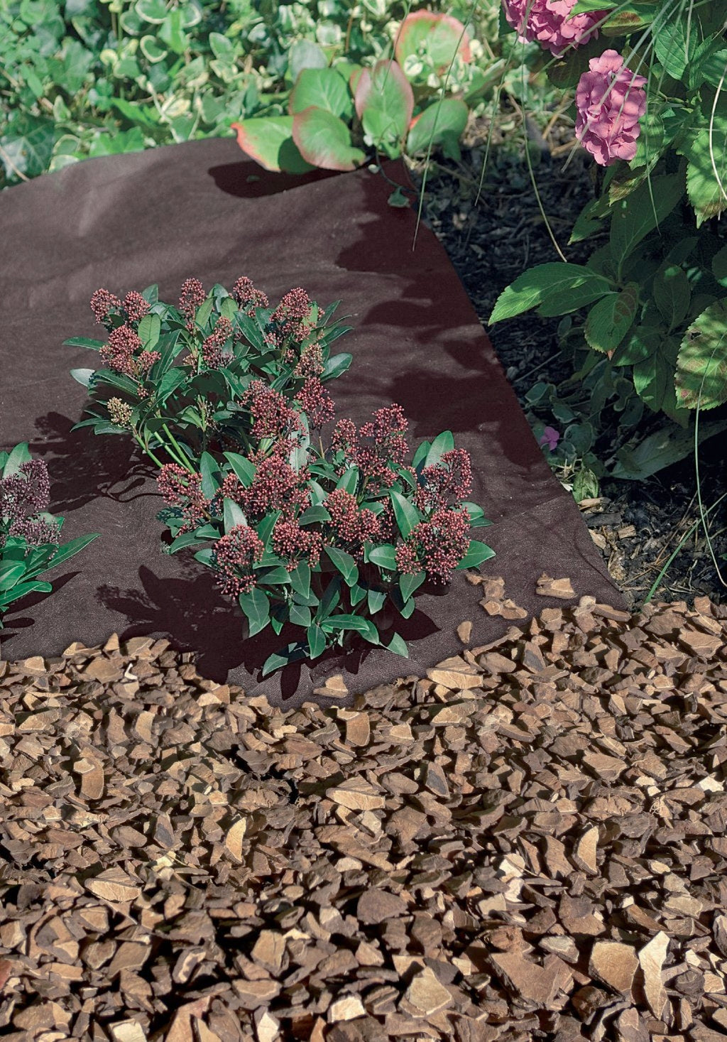 Tela Agrícola Antimazia 80 g/m2 GEOTEX Nortene