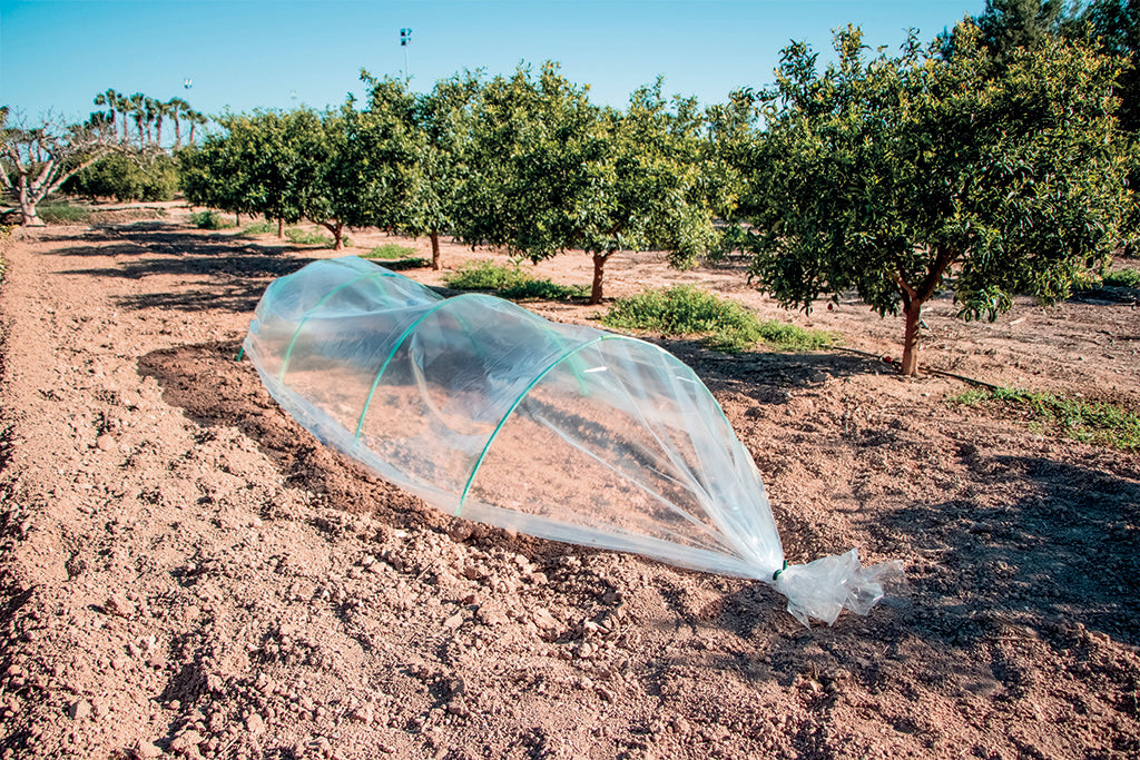 Film de cultivo forzado CLIMAFILM Nortene