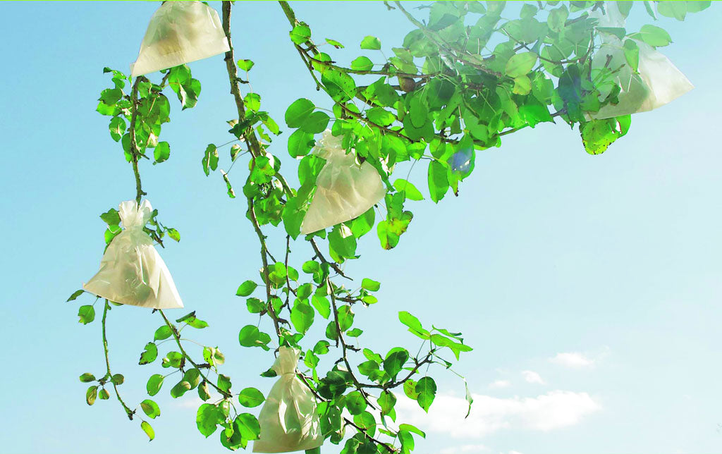 Protectores para fruta FRUITSAC Nortene