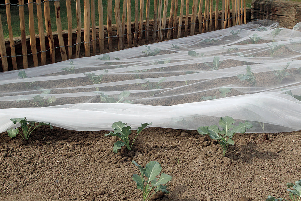 Malla antiplagas BIOCONTROL Nortene