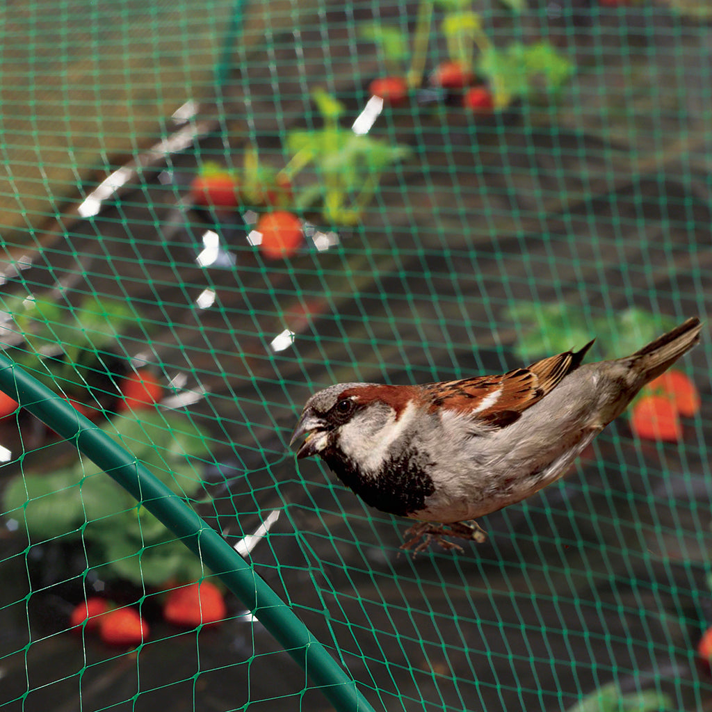 Malla de protección anti-pajaros BIRDNET Nortene