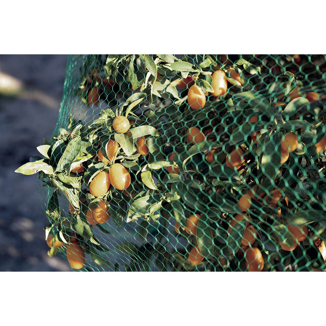 Malla de protección anti-pajaros BIRDNET Nortene