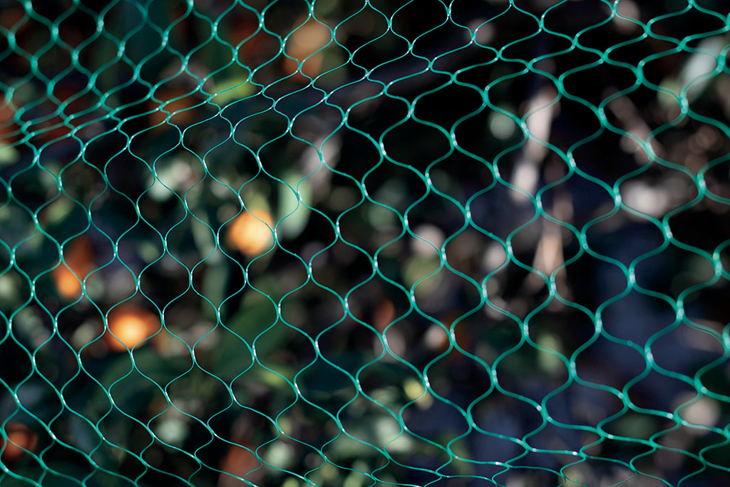 Malla de protección anti-pajaros BIRDNET Nortene