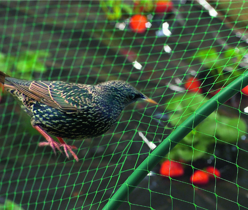 Malla de protección anti-pajaros BIRDNET Nortene
