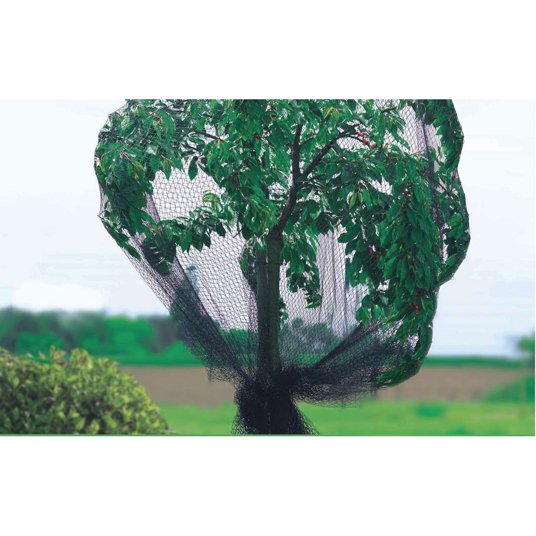 Malla antipajaros 2 mm PRONET  6 x 5 m Verde Nortene