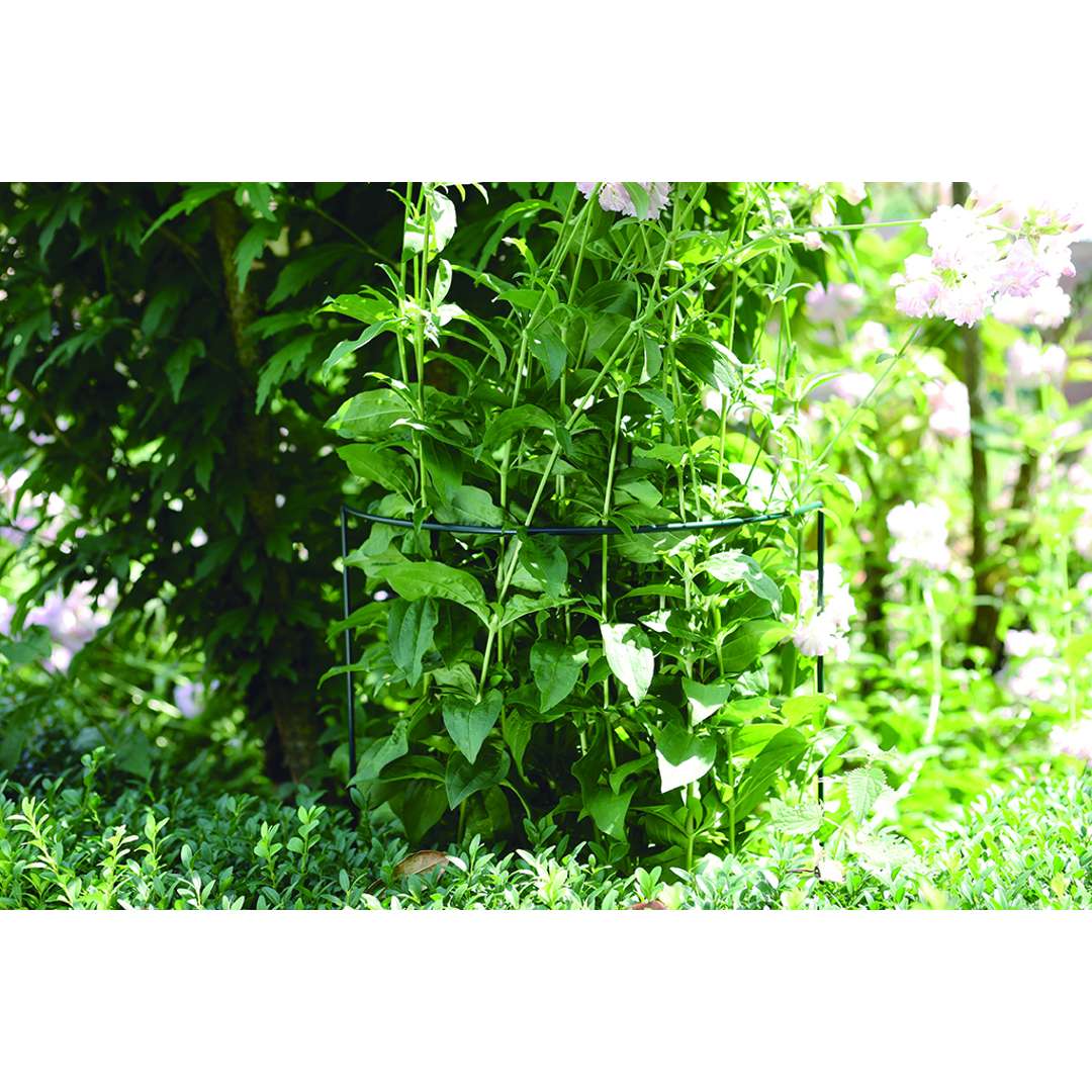 Soporte semicircular para plantar CHELSEA Verde Nortene