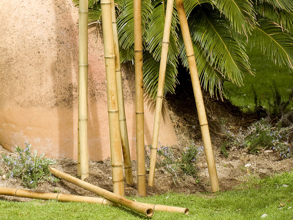 Tutor decorativo de bambu BAMBOO DECO Nortene