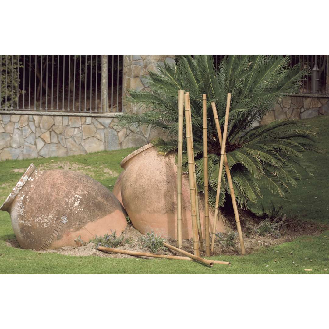 Tutor decorativo de bambú BAMBOO DECO Nortene