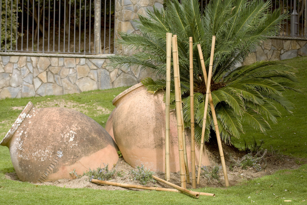 Tutor decorativo de bambú BAMBOO DECO Nortene