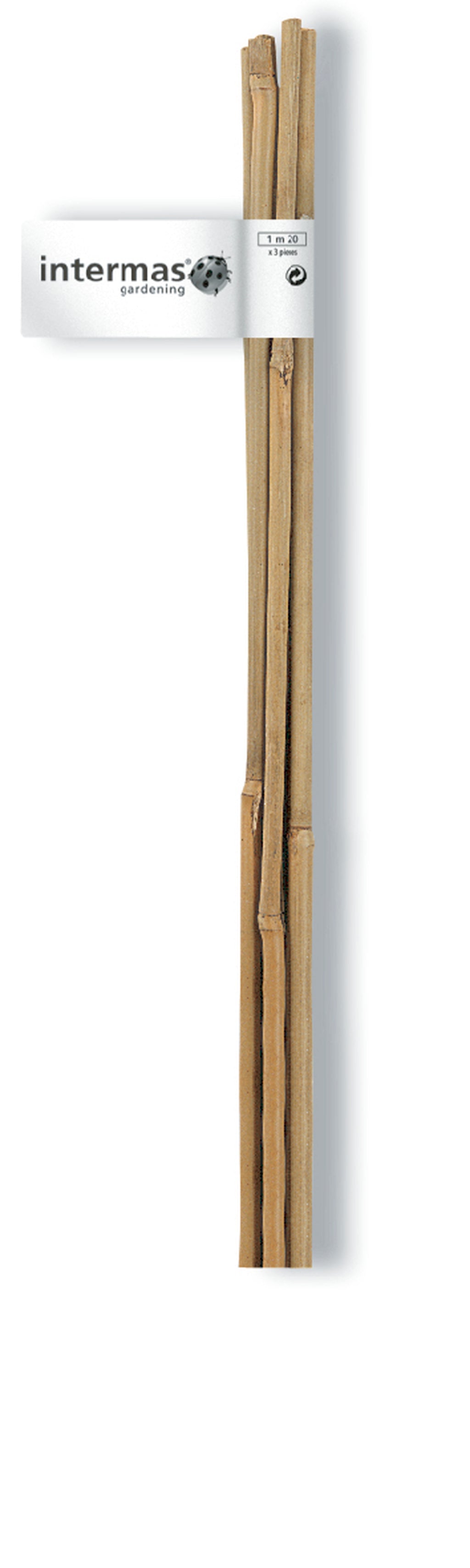 Tutores de bambu natural BAMBOO Nortene (1 unid.)