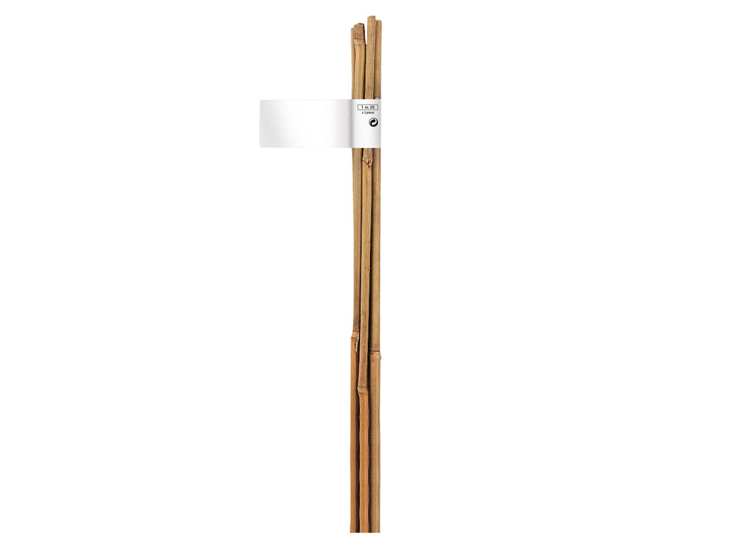 Tutores de bambu natural BAMBOO Nortene (1 unid.)