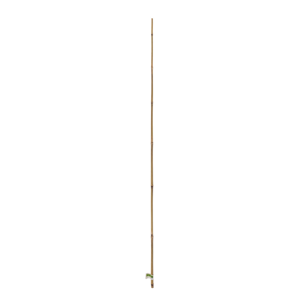 Tutores de bambú natural BAMBOO Nortene (1 ud)