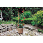 Tutor arco de bambú ARC BAMBOO Nortene