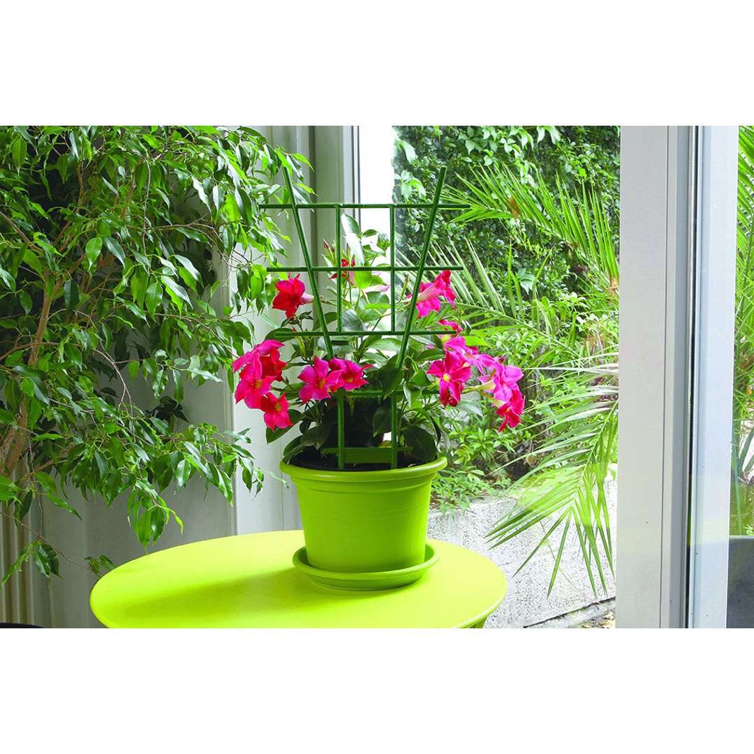 Tutor espaldera para plantas ECHELLE Verde Nortene