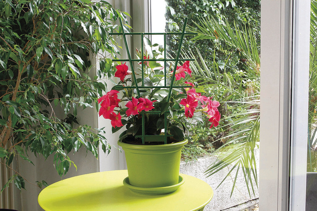 Estaca para plantas ECHELLE Verde Nortene