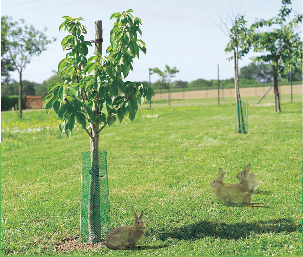 Malla de protección antiroedores TREEGUARD ,5 m Nortene