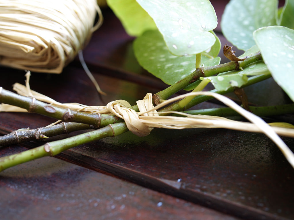 Rafia natural RAPHIA Nortene