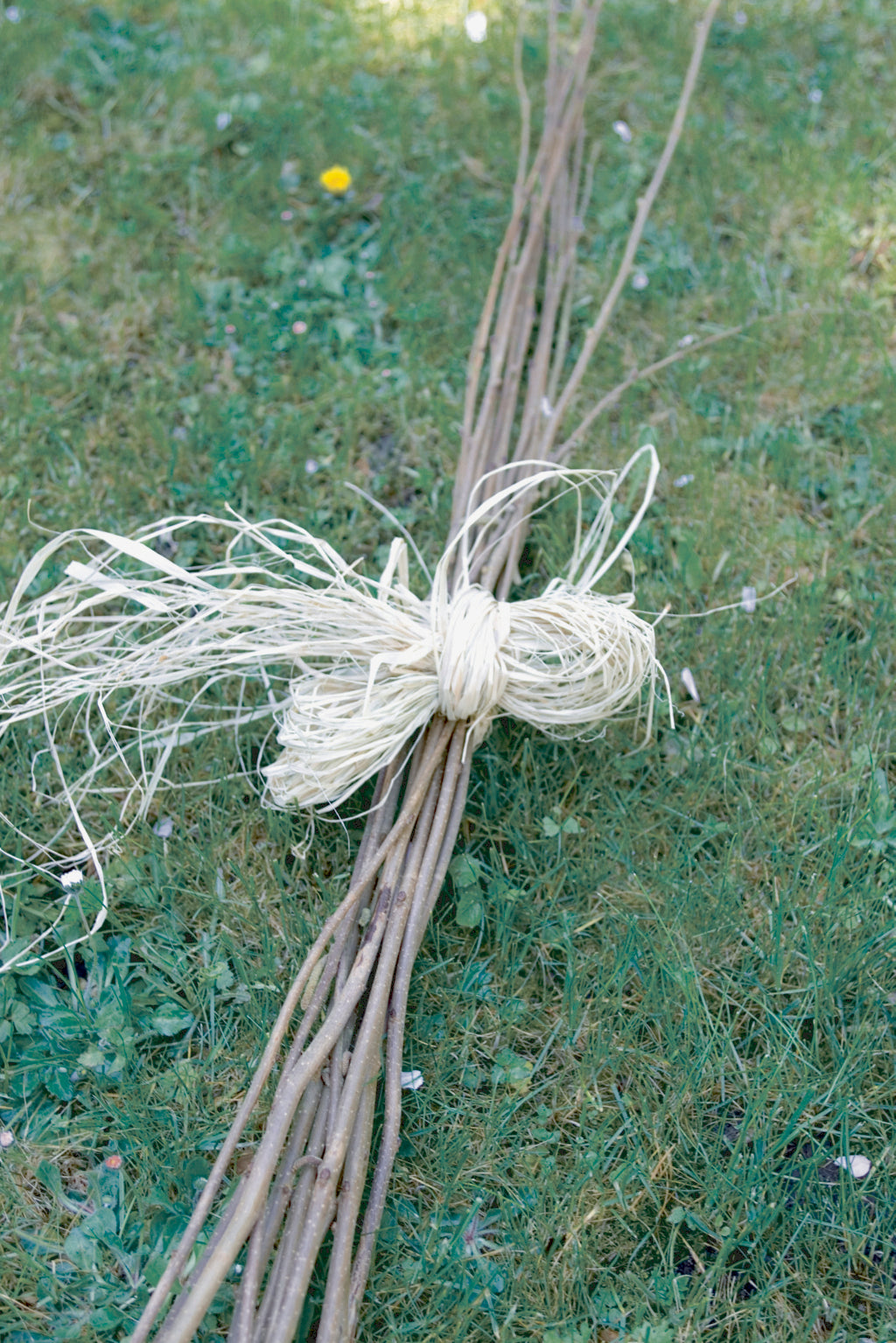 Rafia natural RAPHIA Nortene