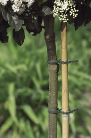 Bridas de plástico para tutores FIX Verde Nortene