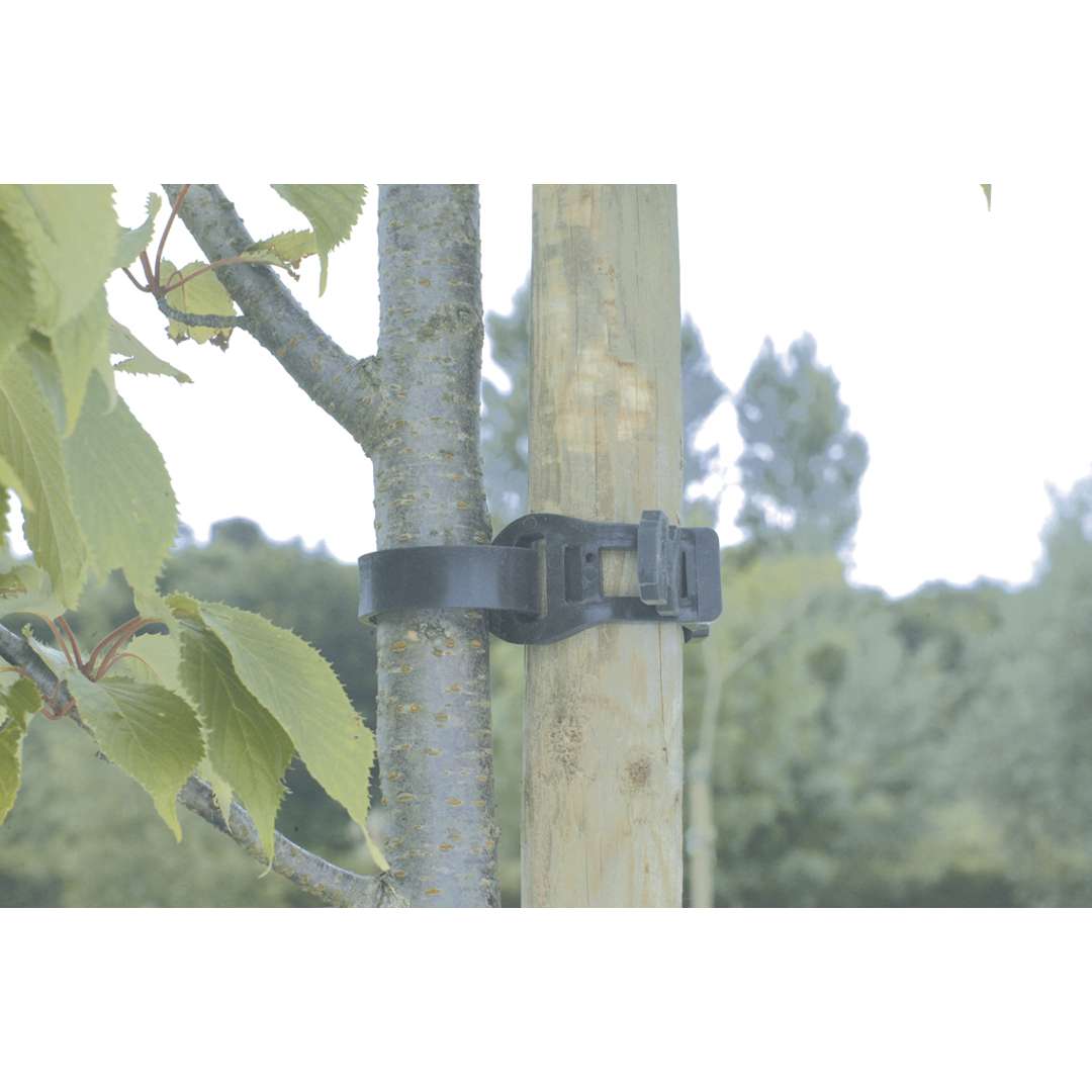 Abrazadera de plástico para árbol TREE TIE Negro Nortene