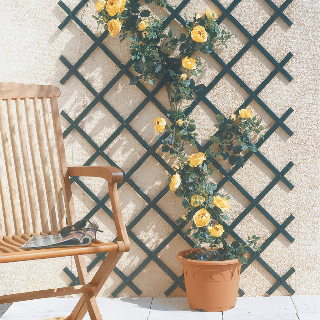 Celosía extensible de PVC TRELLIFLEX Nortene