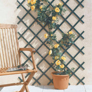 Celosía extensible de PVC TRELLIFLEX Nortene