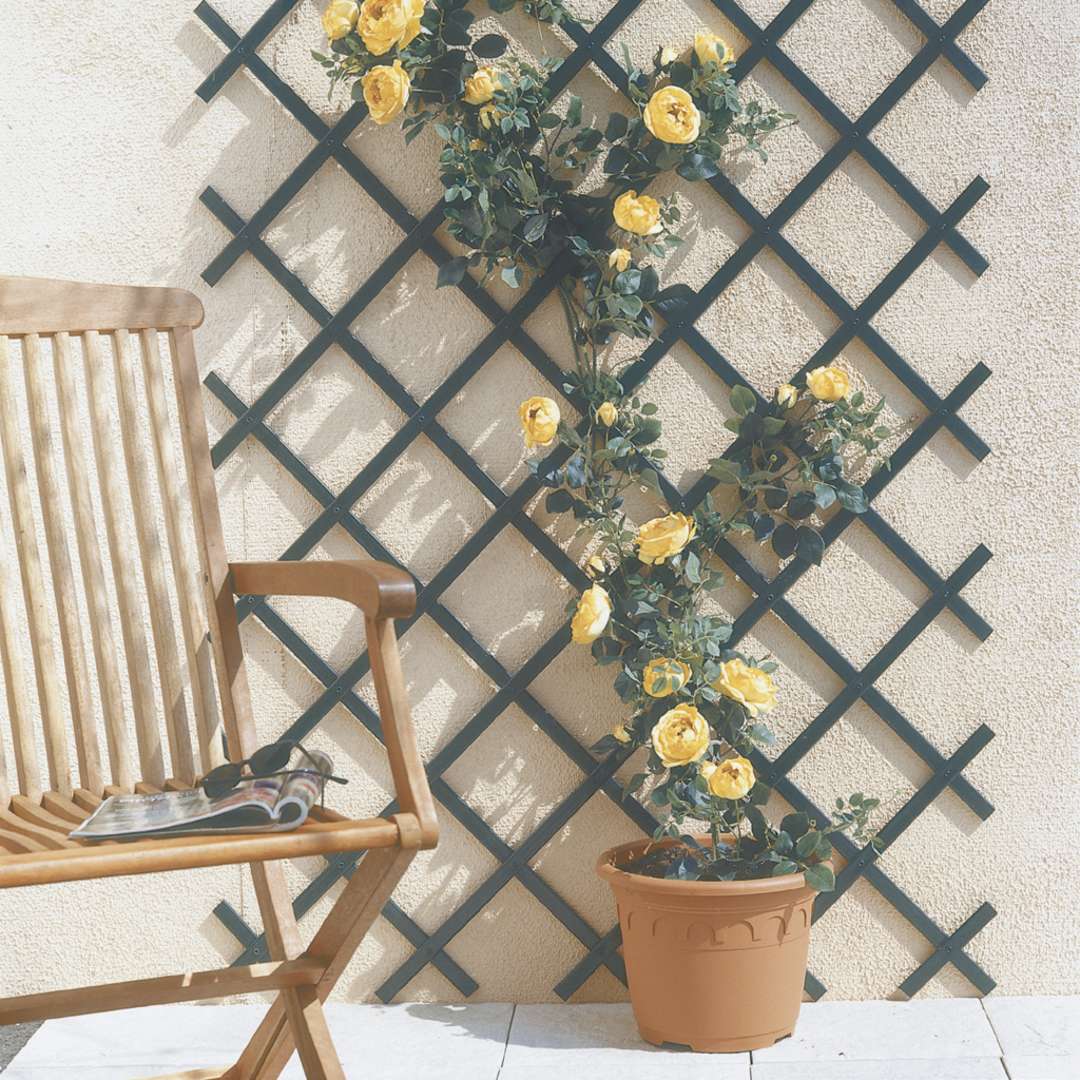 Celosía extensible de PVC TRELLIFLEX Nortene