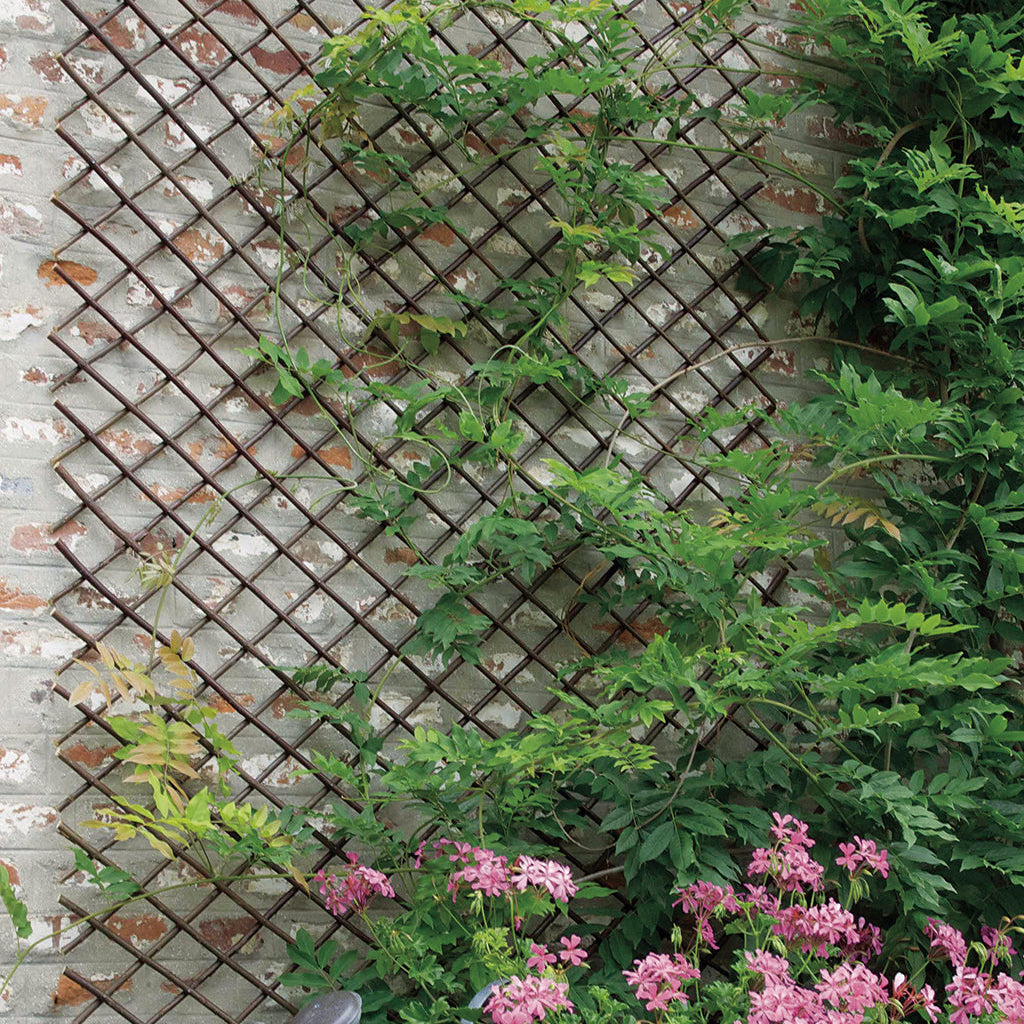 Treliça extensível de vime WILLOW TRELLIS Nortene