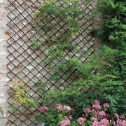 Treliça extensível de vime WILLOW TRELLIS Nortene