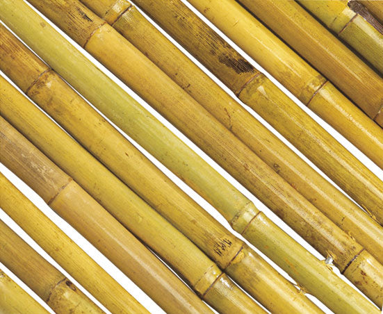 Cañizo de bambú barnizado BAMBOOFLEX Nortene
