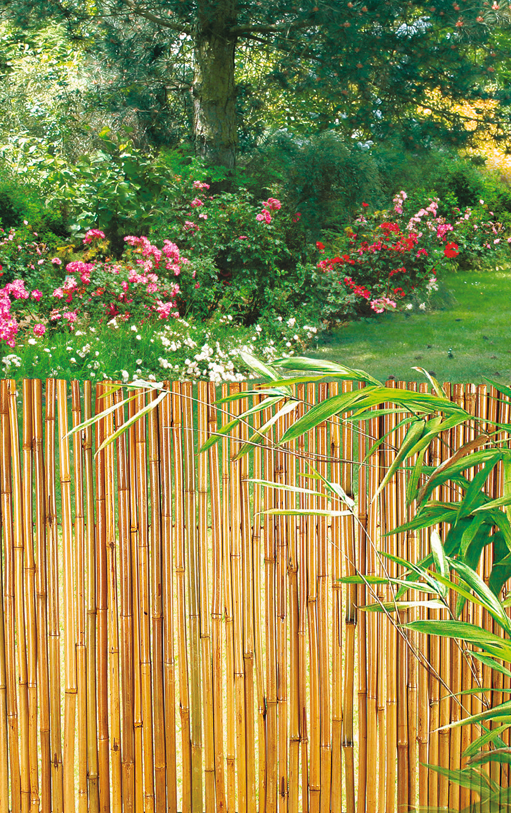Cañizo de bambú barnizado BAMBOOFLEX Nortene