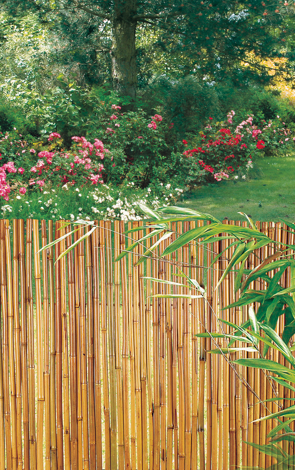 Cañizo de bambú barnizado BAMBOOFLEX Nortene