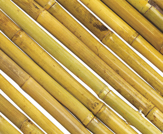 Cañizo de bambú barnizado BAMBOOFLEX Nortene