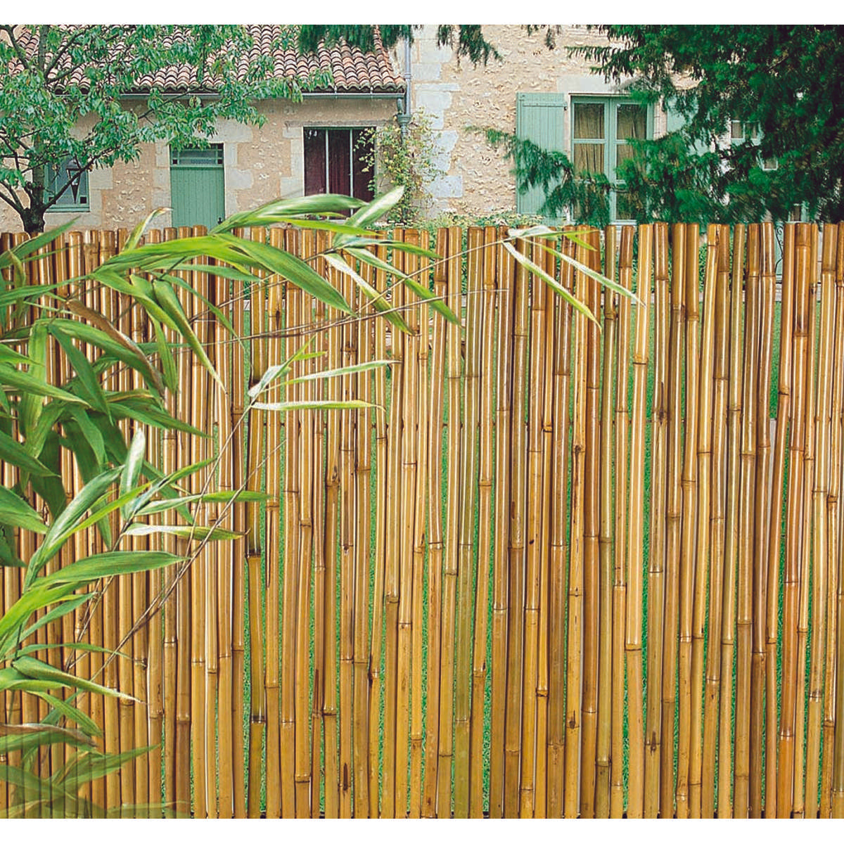 Cañizo de bambú barnizado BAMBOOFLEX Nortene