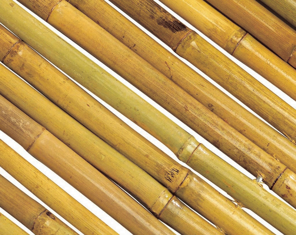 Cañizo de bambú barnizado BAMBOOFLEX Nortene