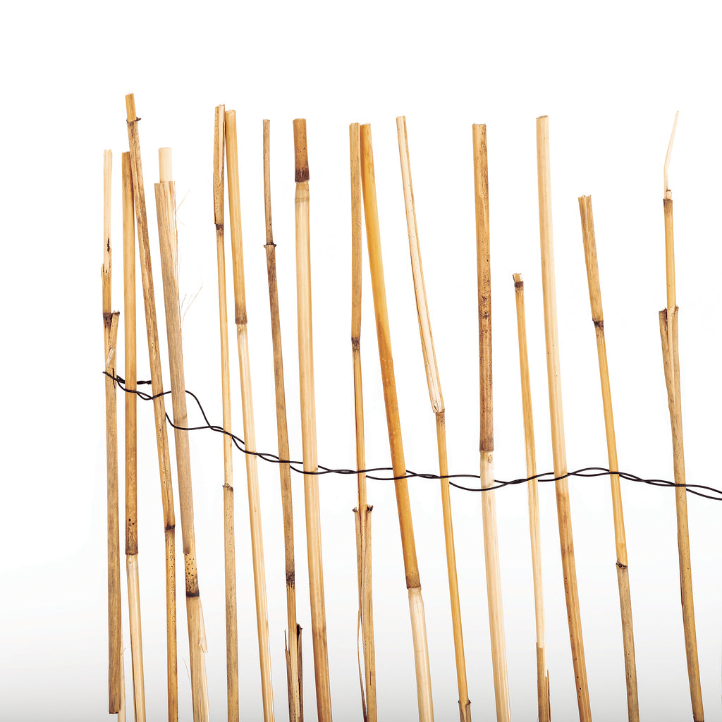Cañizo natural de bambú pelado REEDCANE Nortene