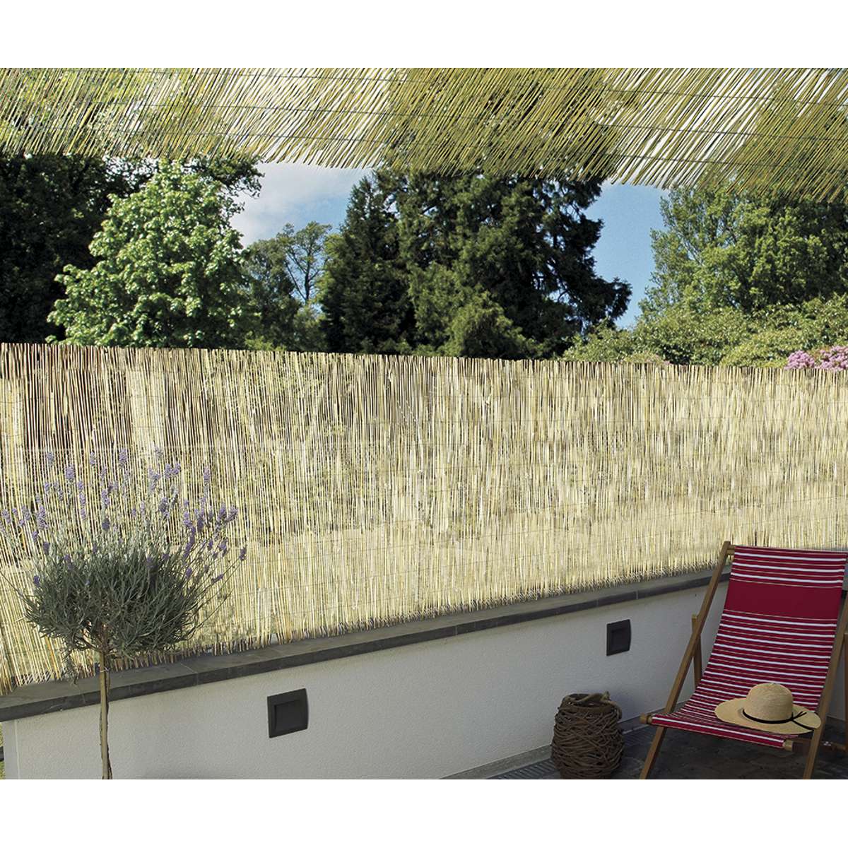 Cañizo natural de bambú pelado REEDCANE Nortene