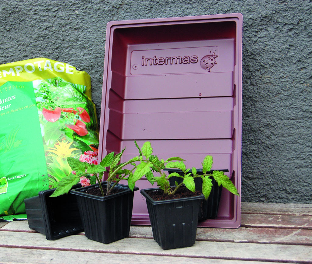 Macetas de plásstico reutilizables PLASTPOT  7 x 7 x 6 cm Marron Nortene