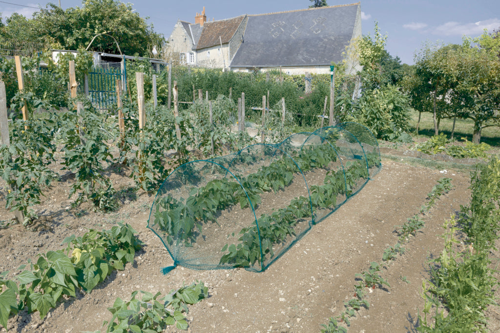 Arco de fibra de vidro e poliéster ARC FG 250 x 0,6 cm Verde Nortene