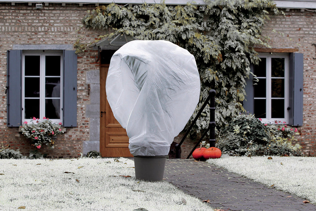 Véus de hibernação