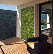 Jardim vertical sintético BUXUS 1 x 1 m Nortene