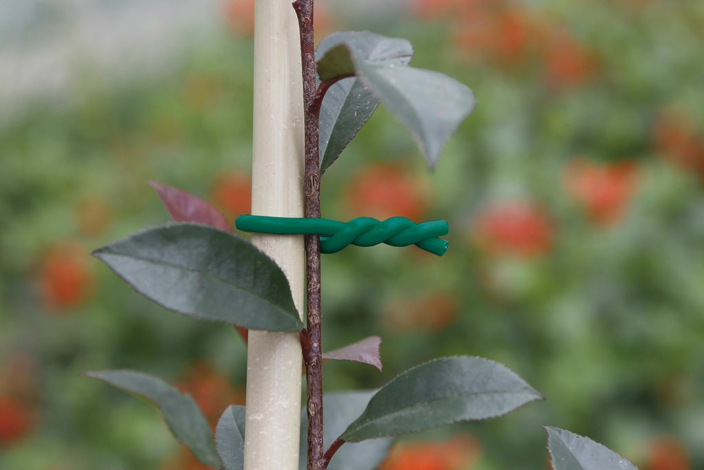 Abraçadeira para plantas BIFLEX Verde Nortene