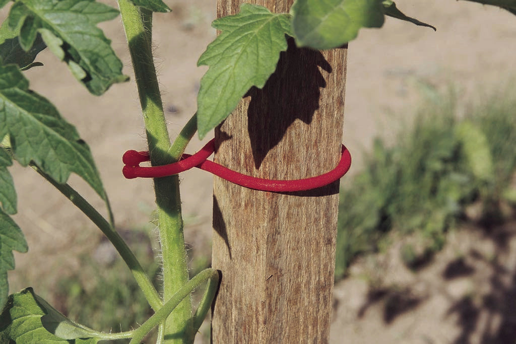 Clips para tomateras TOMATOCLIP ,6 cm Rojo Nortene