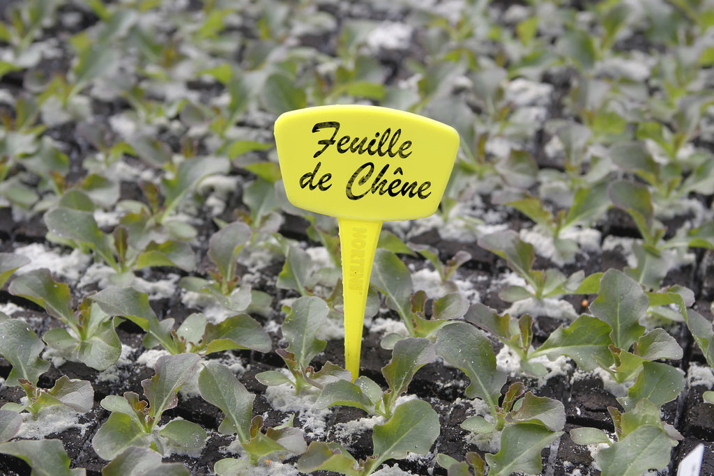 Etiquetas para plantar LABEL 15 cm Amarilla Nortene (1 ud)